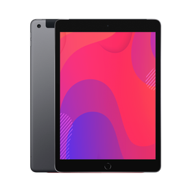 Apple iPad 6th Gen (Wi-Fi + Cellular) 128GB Space grey